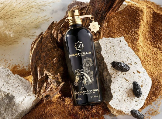 Montale-Arabians Tonka