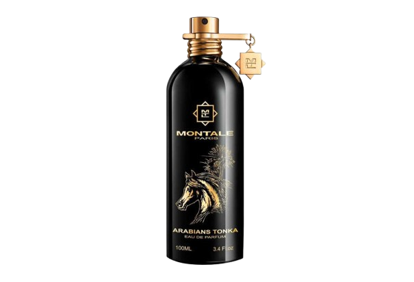 Montale-Arabians Tonka